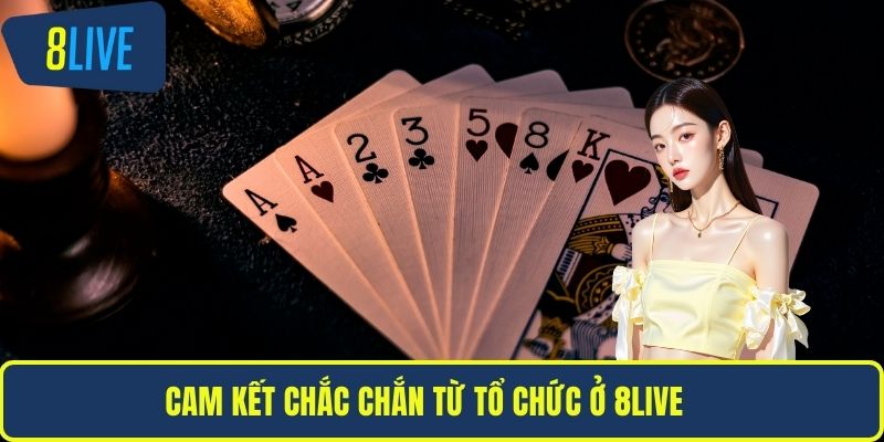 Cam kết chắc chắn từ tổ chức ở 8LIVE
